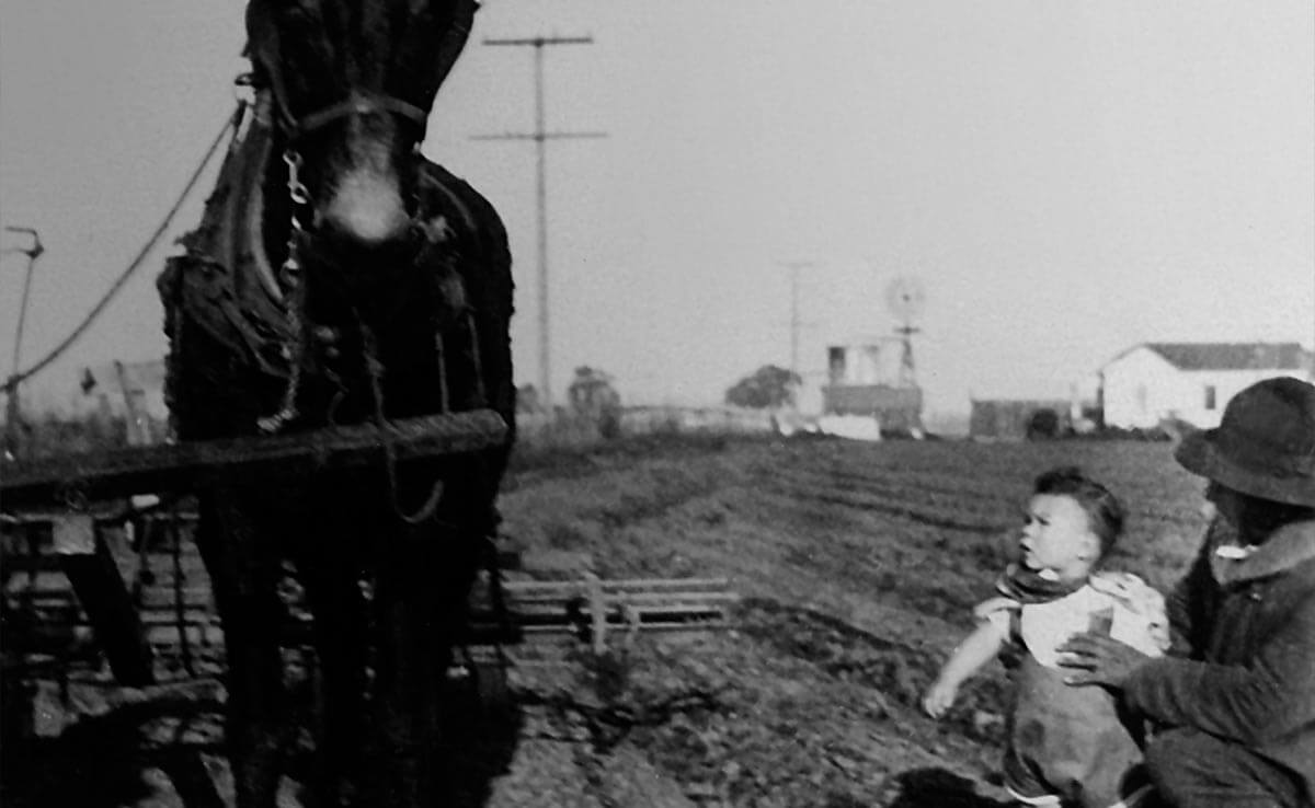 Tom Nunes III being held, watching plow horse