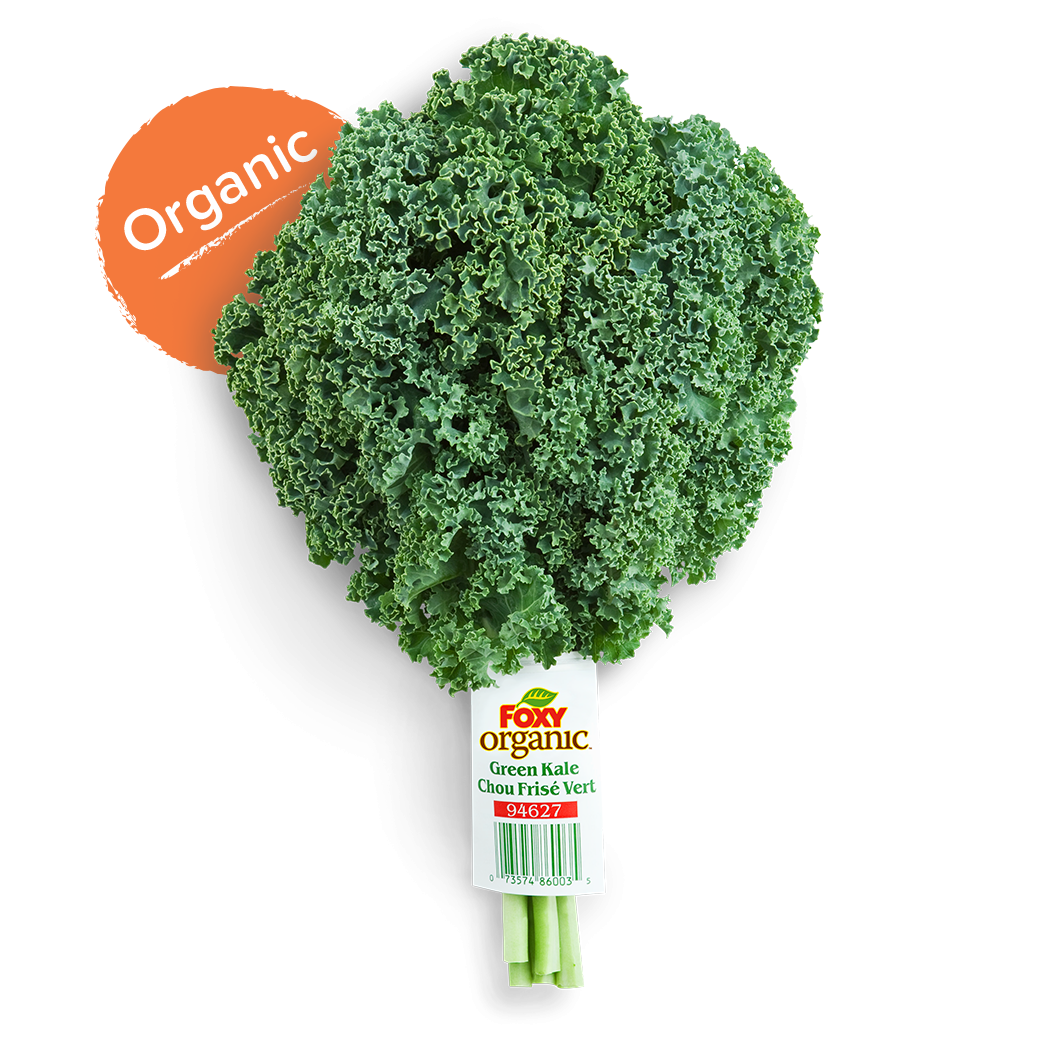 Green Kale Foxy Fresh Produce